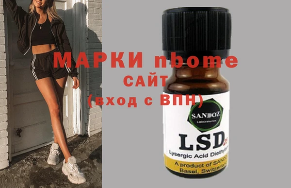 индика Богородск