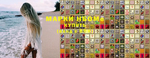 индика Богородск