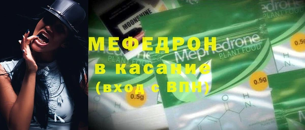 индика Богородск