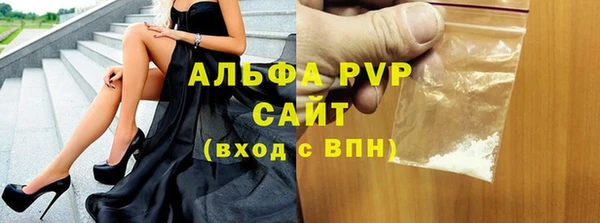 индика Богородск