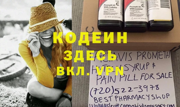 индика Богородск