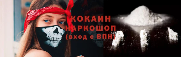 индика Богородск