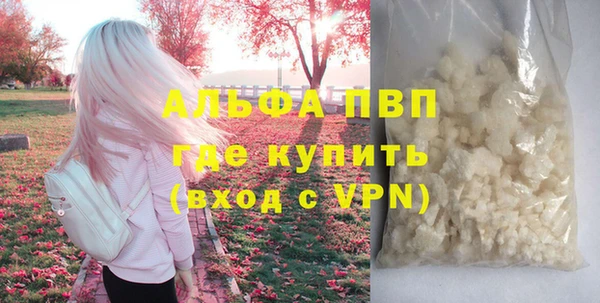 индика Богородск