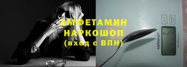 индика Богородск