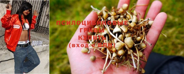 jwh Богданович