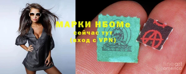 индика Богородск