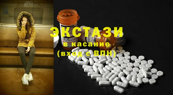 индика Богородск