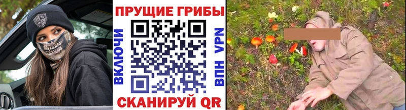 даркнет сайт  Новокубанск  blacksprut рабочий сайт  Галлюциногенные грибы Psilocybe 